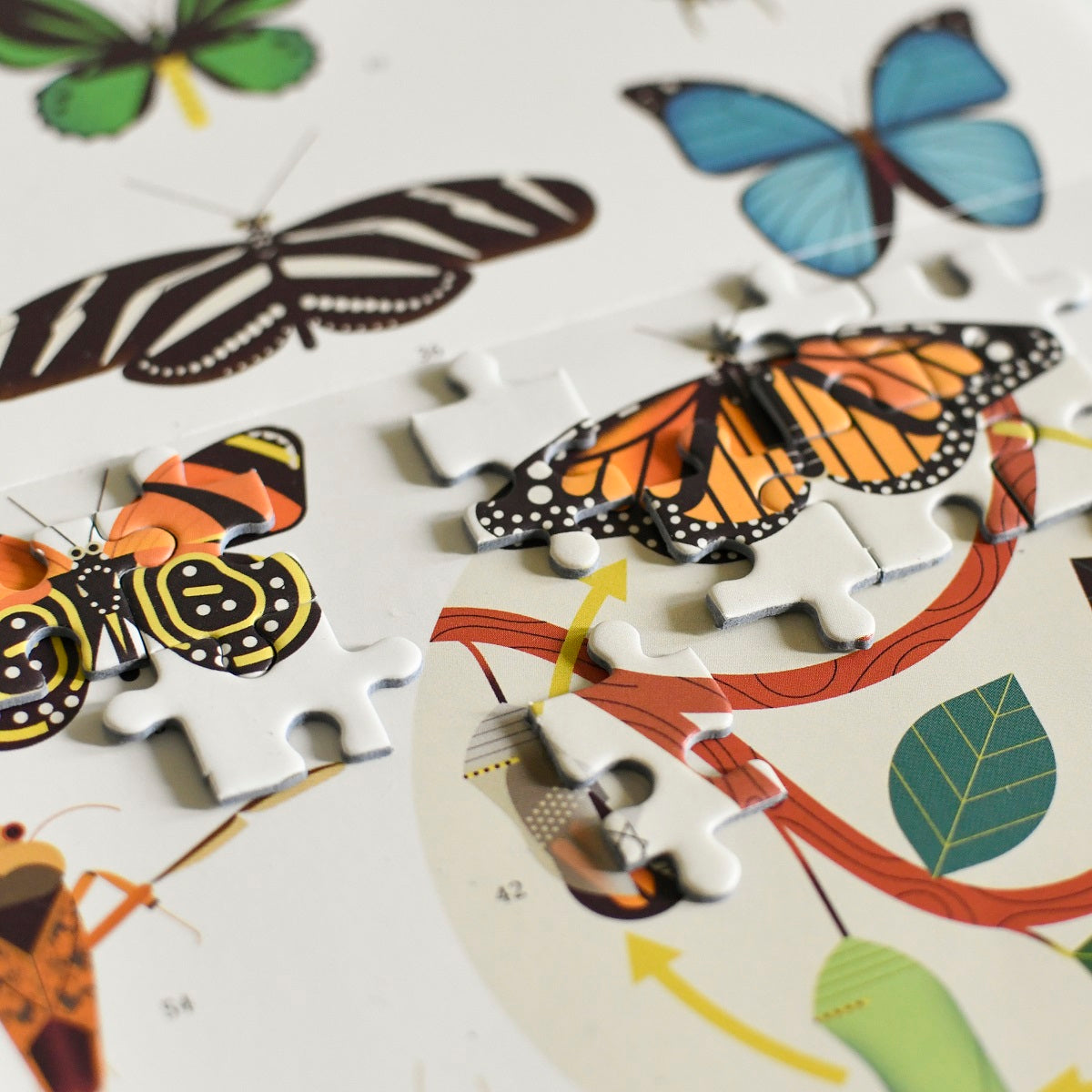 Discovery Puzzle - Insects 500pcs