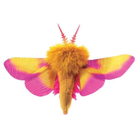 Mini Rosy Maple Moth