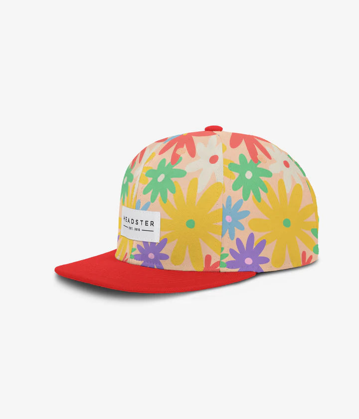 Headster Hat (Various styles)