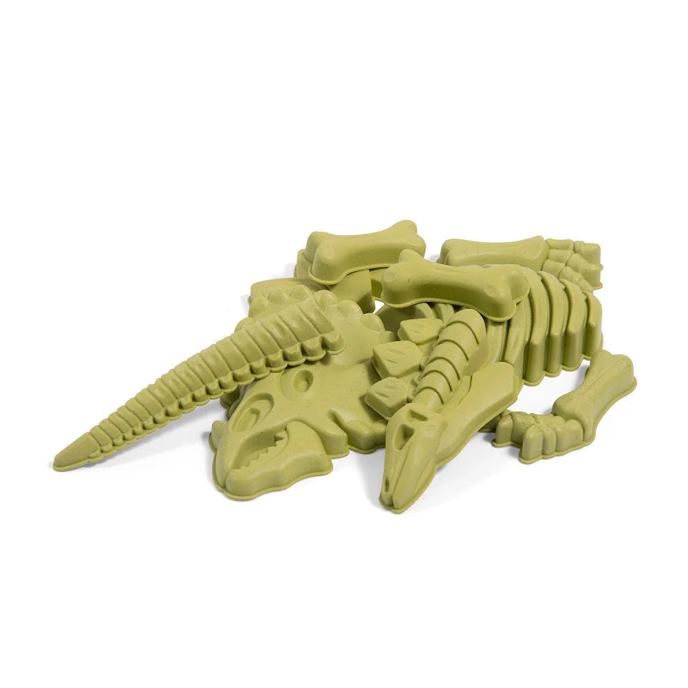 Dinosaur Beach Set