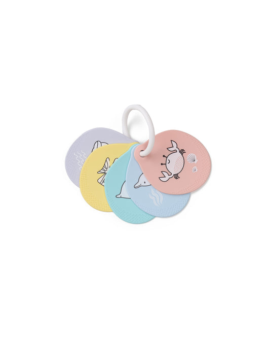 Flashcards - Loulou Lollipop