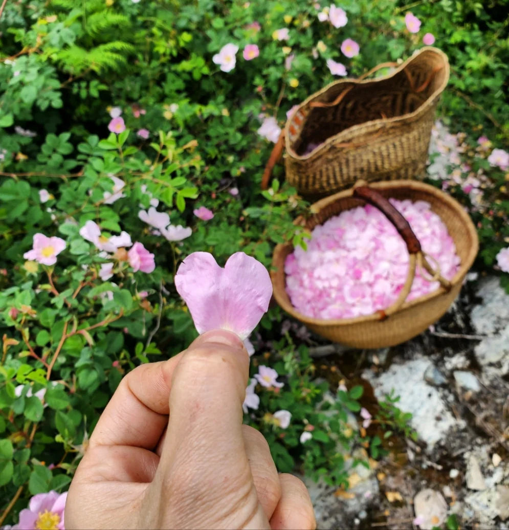 WILD ROSE BUTTER - BOREAL FOLK