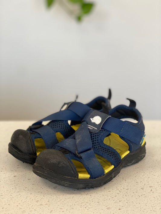 Blue Scandinavian Forest Shoes, C11