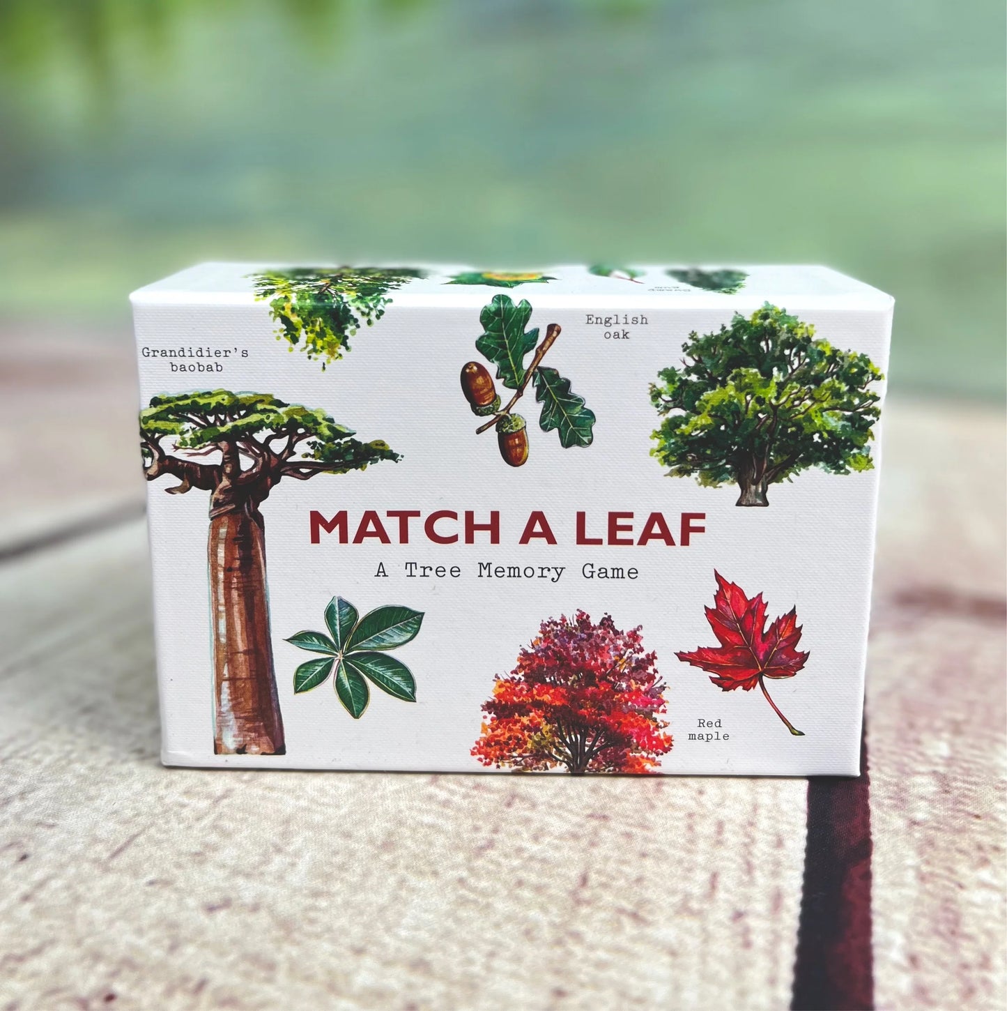 Match a Leaf Memory Game