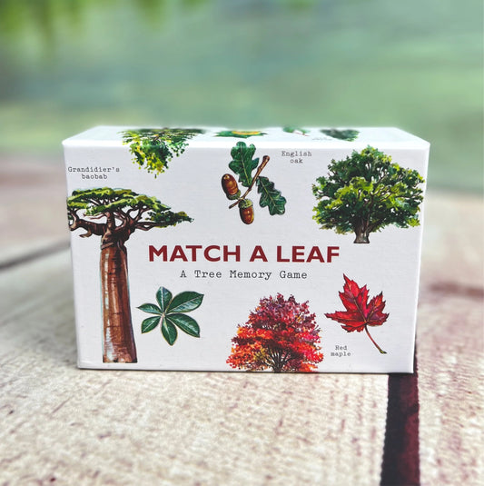 Match a Leaf Memory Game