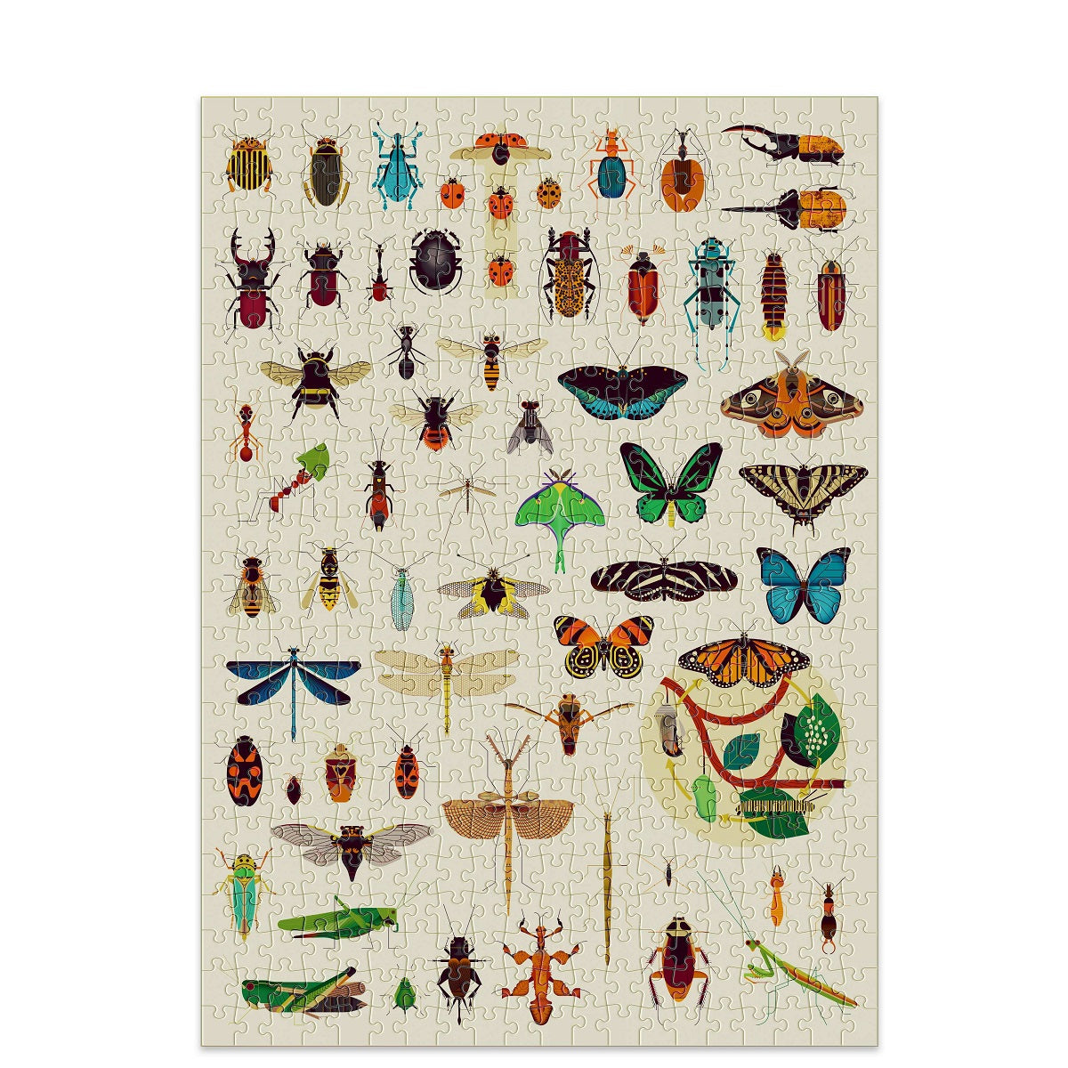 Discovery Puzzle - Insects 500pcs