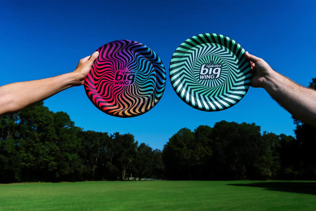 BigWing Flying Disc