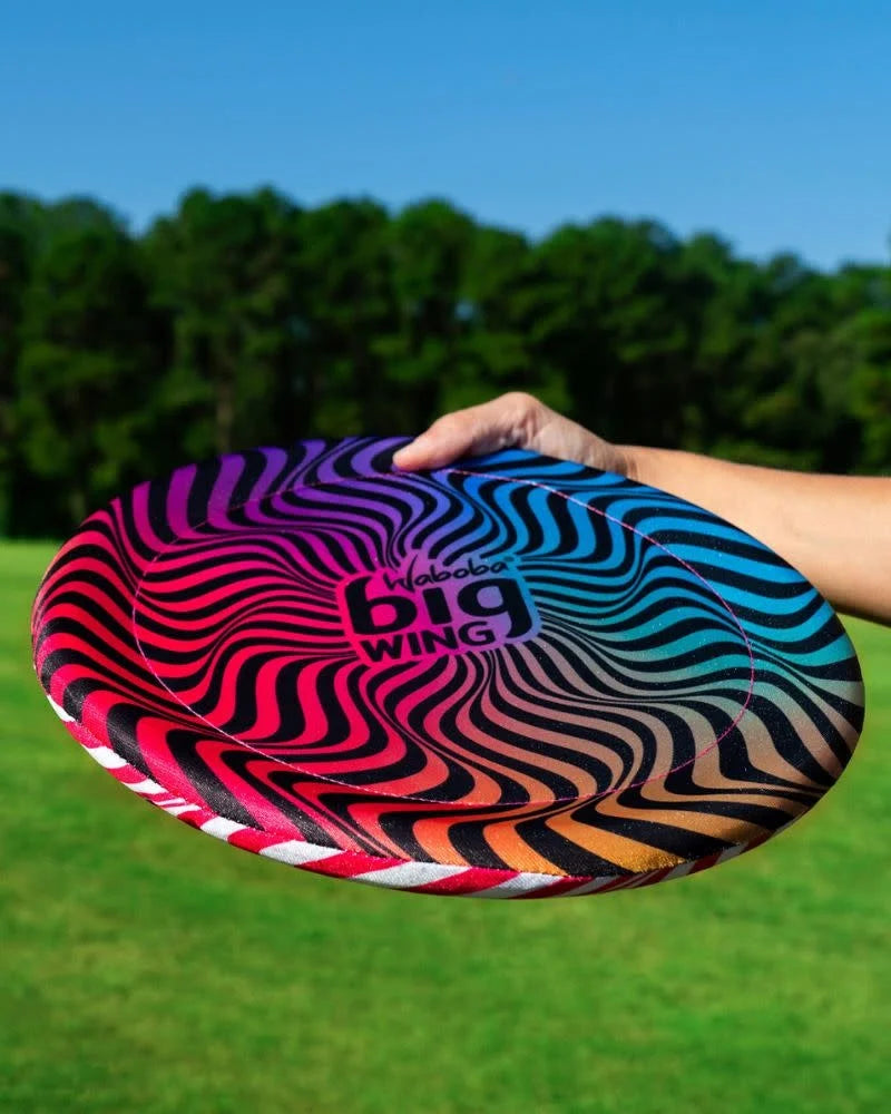BigWing Flying Disc