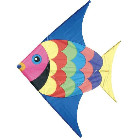 Outdoor - Kite, Fish